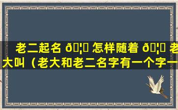 老二起名 🦍 怎样随着 🦈 老大叫（老大和老二名字有一个字一样好吗）